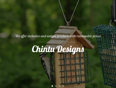 website 199 chintudesigns